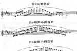  中央音乐学院长笛考级教程：九级练习曲