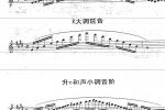  中央音乐学院长笛考级教程：七级练习曲