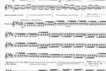  MARCEL MOYSE 24首旋律的小练习曲和变奏乐谱：第三部分 Part III