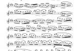   [Morning]，from ＂Peer Gynt＂ flute sheet music,Edvard Grieg,Op 46