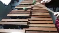  各种器乐版本《野蜂飞舞》之——木琴独奏