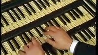  荷兰Zwolle大教堂管风琴演奏视频 3