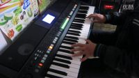  YAMAHA 雅马哈 PSR-S650 电子琴演奏 伤心太平洋