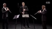  贝多芬双簧管三重奏改编自莫扎特唐璜 Beethoven Oboe trio