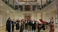  巴赫为小提琴和双簧管而作的协奏曲BWV 1060（c小调）