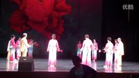  紫竹院公园花棍队 打花棍表演《美丽的心情》.pds