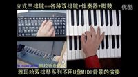  刘璐红曲娘子军操练手风琴伴式双排三排键电子琴脚电子鼓-