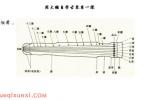  古琴音色有哪些？详谈古琴的音色