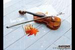  小提琴双音与和弦的学习方法