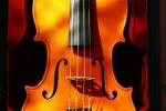  关于小提琴学习的问答