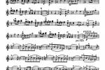  克莱斯勒-爱的喜悦Violin  Fritz Kreisle, Liebesfreud