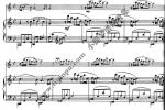  柔版(Adagio) 小提琴独奏 菲奥诺拉·莎莉