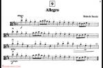  Allegro 中提琴谱