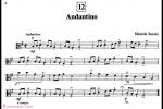  Andantino 中提琴谱