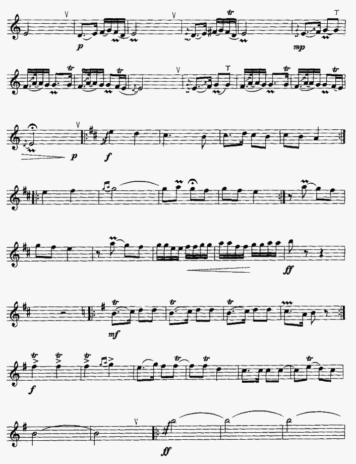 美丽的沙力库力（竖笛独奏）笛子（箫）曲谱（图2）