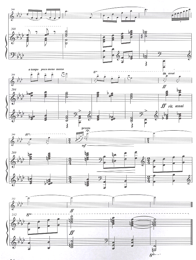 幻想曲（长笛独奏)13笛子（箫）曲谱（图1）