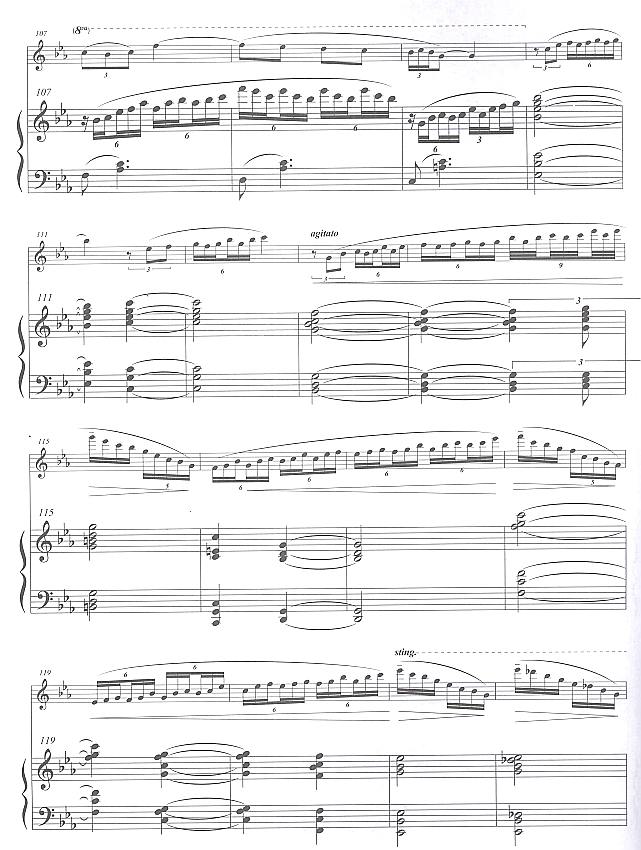 幻想曲（长笛独奏)7笛子（箫）曲谱（图1）