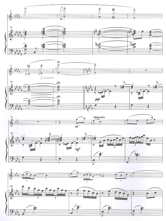 幻想曲（长笛独奏)5笛子（箫）曲谱（图1）