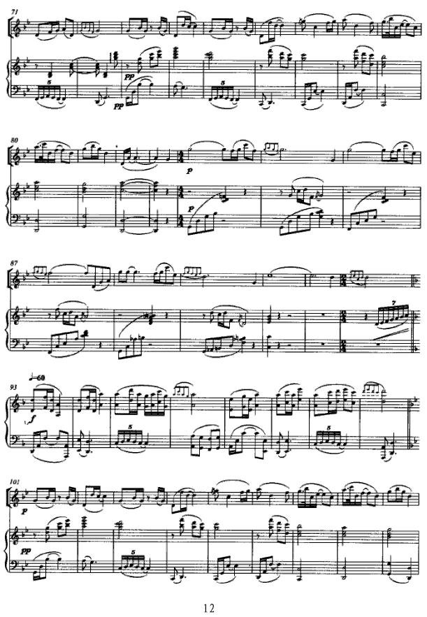 第三二胡协奏曲（五线谱版）二胡曲谱（图12）