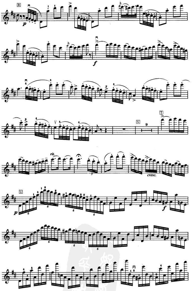 D大调小提琴协奏曲二胡曲谱（图10）