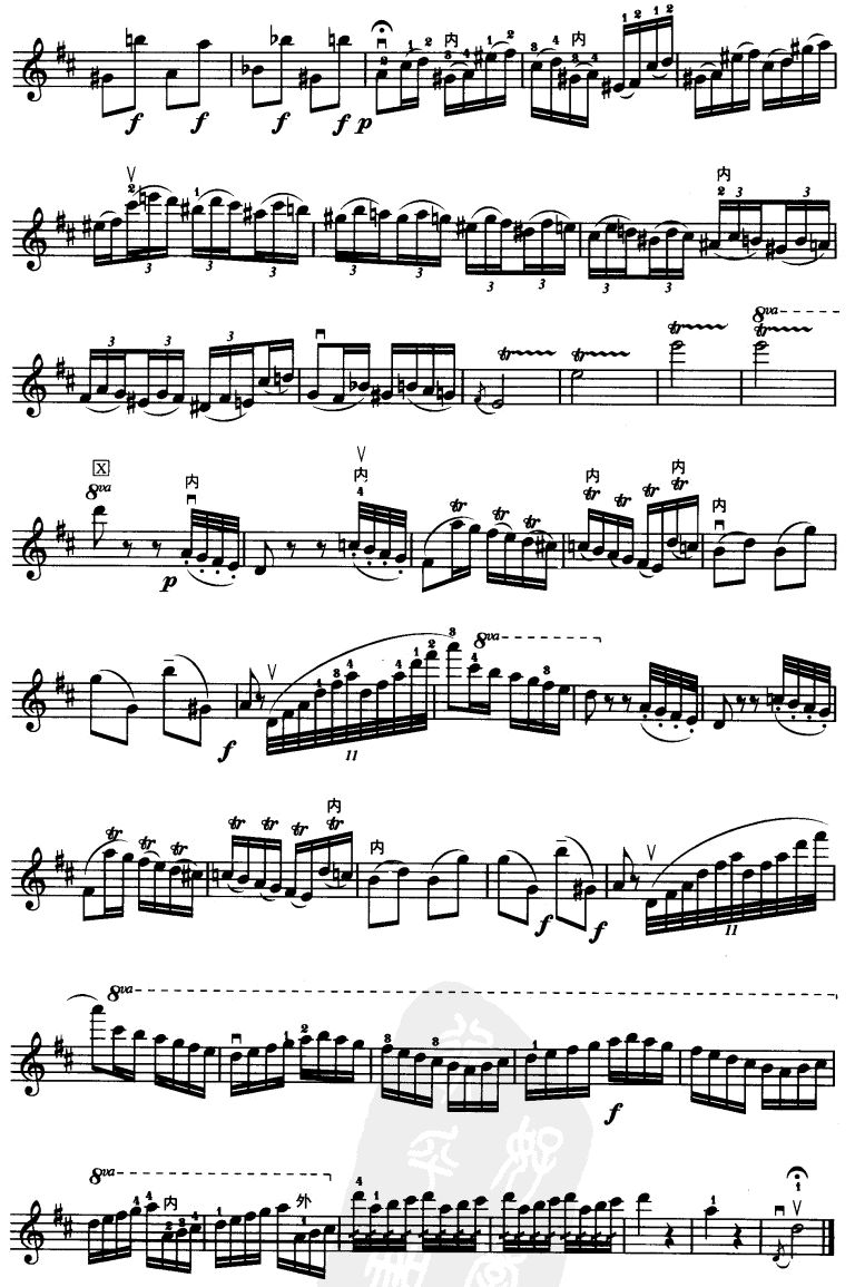 D大调小提琴协奏曲二胡曲谱（图12）