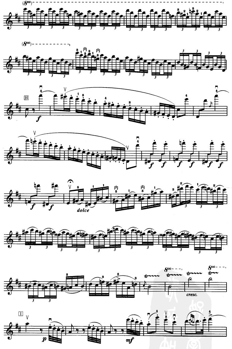 D大调小提琴协奏曲二胡曲谱（图6）