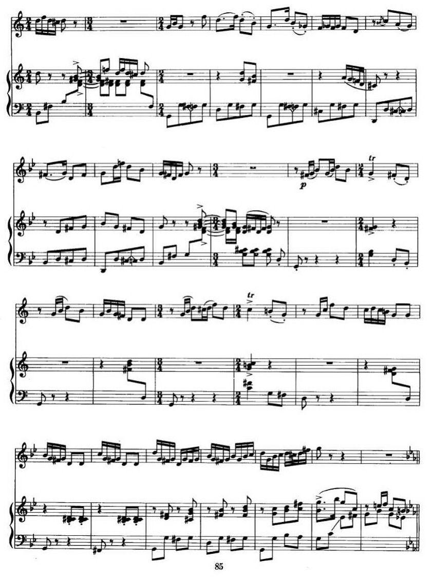 第二二胡狂想曲（二胡+钢琴伴奏）二胡曲谱（图6）