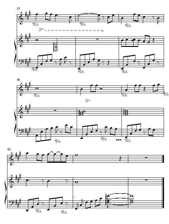 蝶恋钢琴曲谱（图4）