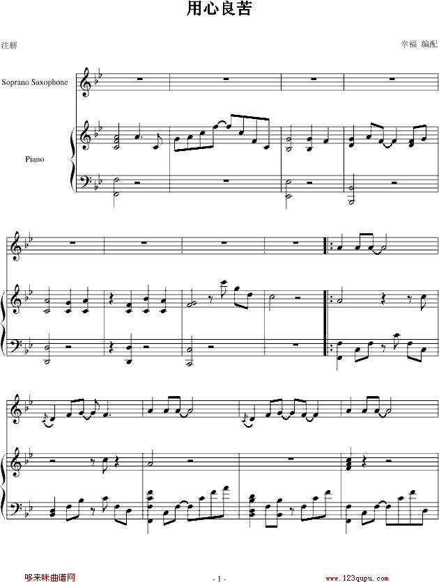 用心良苦-弹唱-张宇钢琴曲谱（图1）