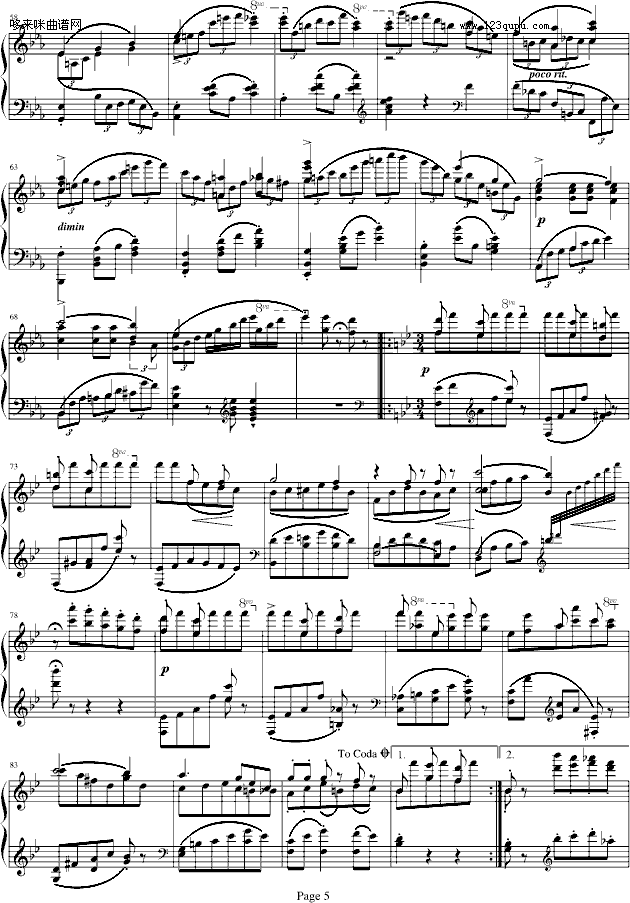 蓝色多瑙河-Schulz-Evler改编-约翰·斯特劳斯钢琴曲谱（图5）