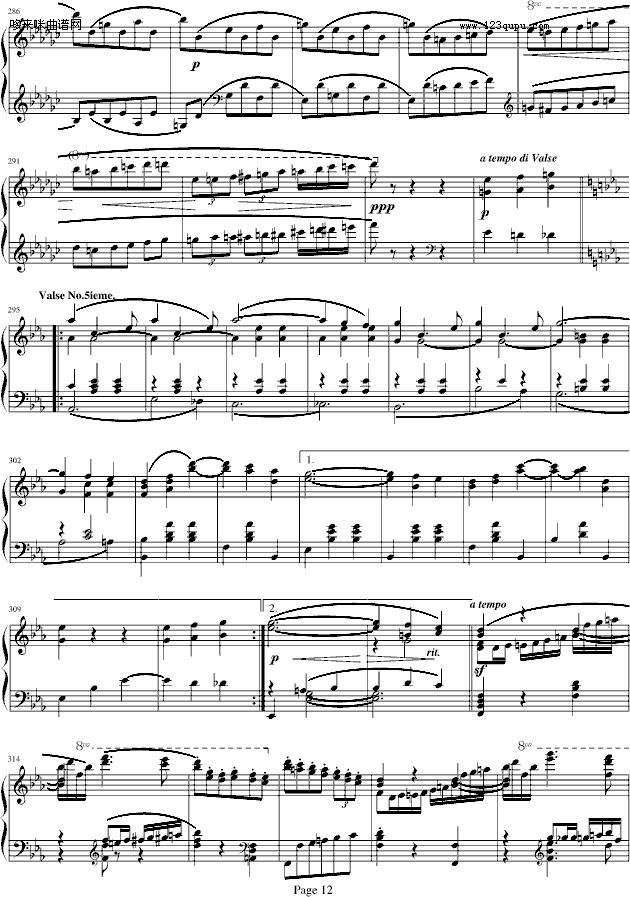 蓝色多瑙河-Schulz-Evler改编-约翰·斯特劳斯钢琴曲谱（图12）
