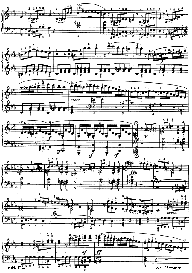 C小调第五钢琴奏鸣曲 - Op. 10—1-贝多芬钢琴曲谱（图13）