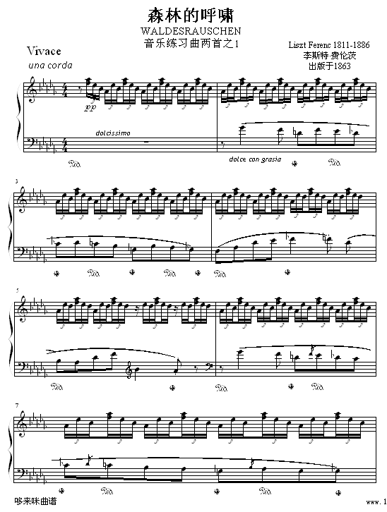 森林的呼啸-李斯特钢琴曲谱（图1）