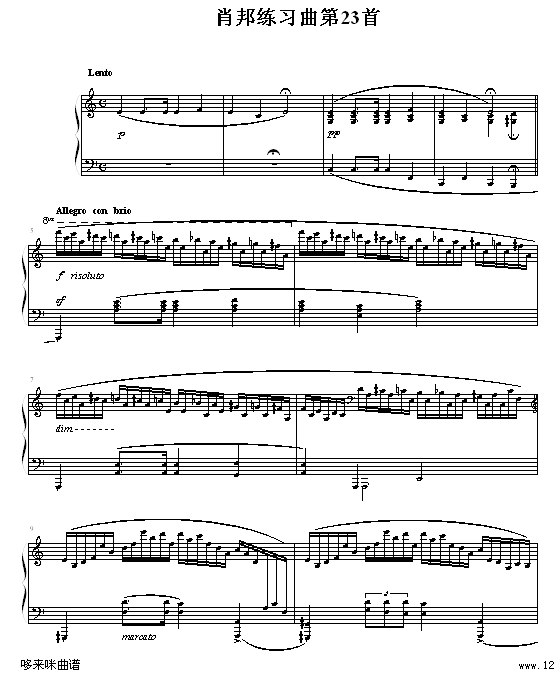 肖邦练习曲第２３首-（冬风）-肖邦钢琴曲谱（图1）