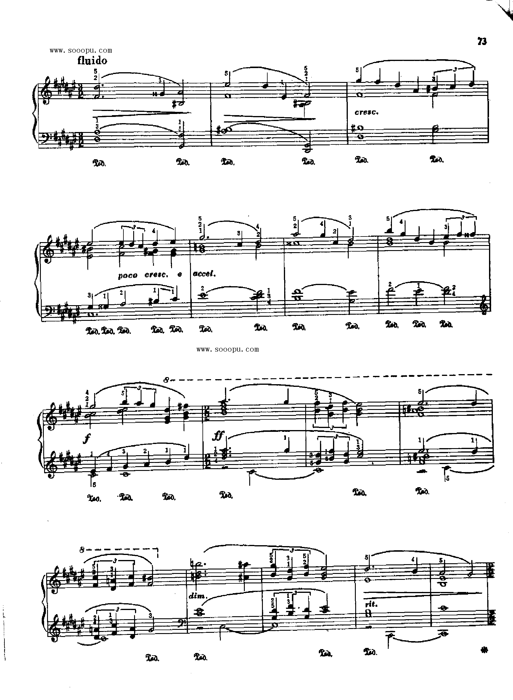 致睡莲 键盘类 钢琴钢琴曲谱（图2）