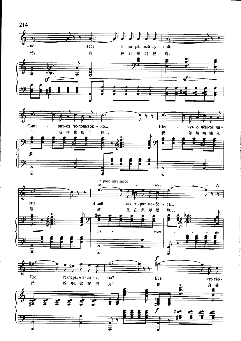 重又孤寂(钢伴) 歌曲类 钢琴伴奏谱钢琴曲谱（图2）