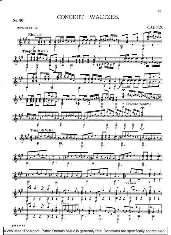 Concert Waltzes钢琴曲谱（图1）