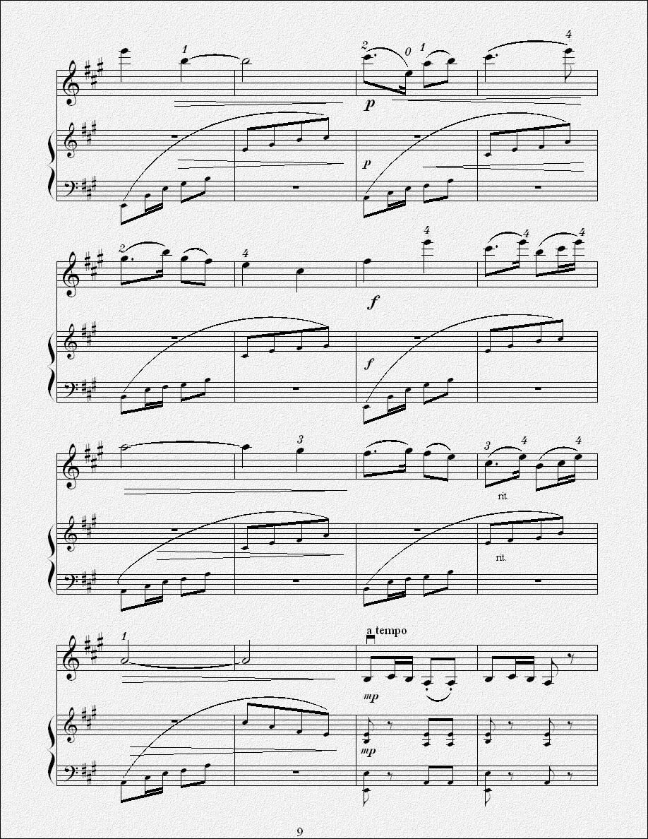 欢乐的养鸡场（小提琴曲）钢琴曲谱（图9）