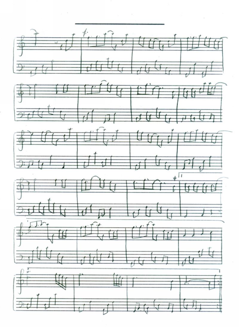 热带雨林钢琴曲谱（图2）