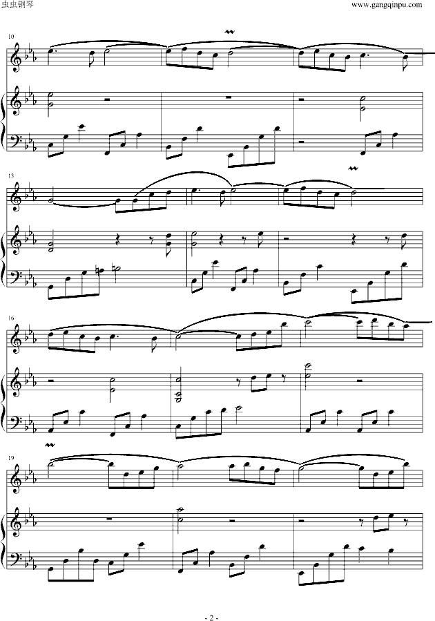 神秘花园（小提琴）钢琴曲谱（图2）