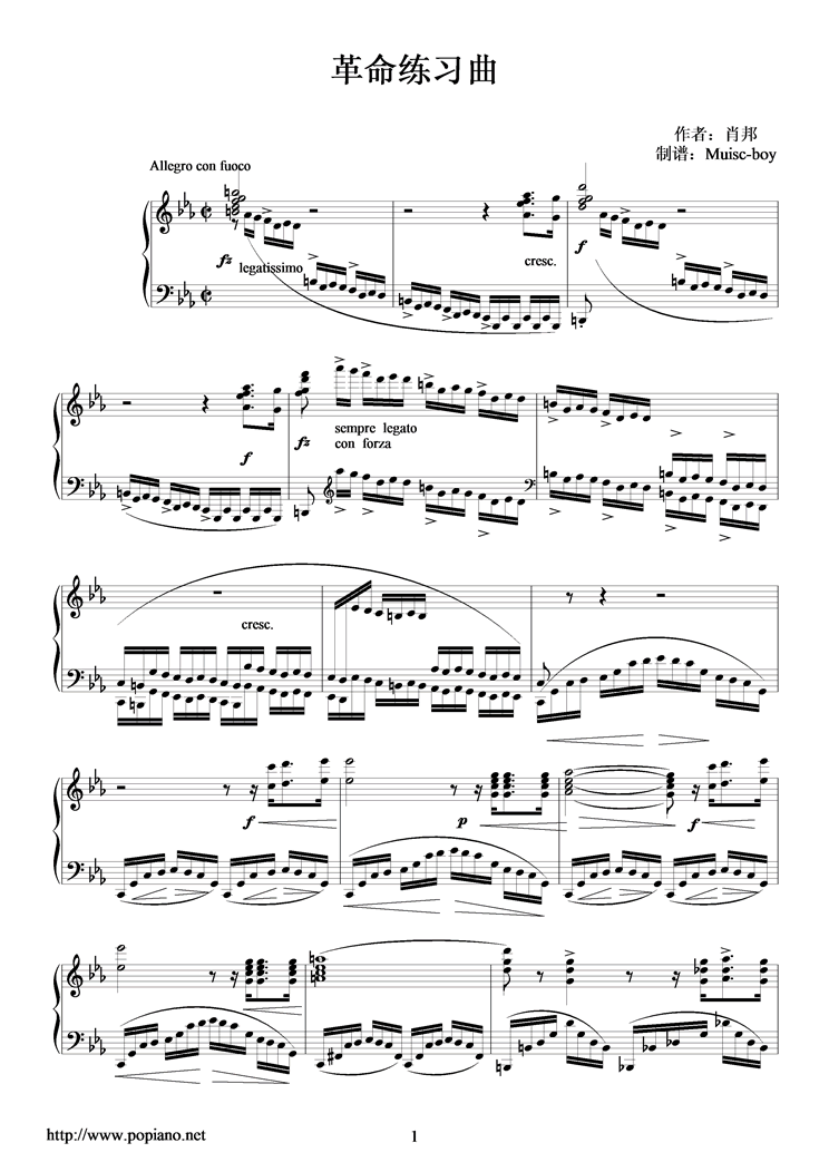 革命練習曲钢琴曲谱（图1）