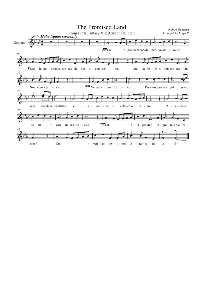 The Promised Land钢琴曲谱（图1）
