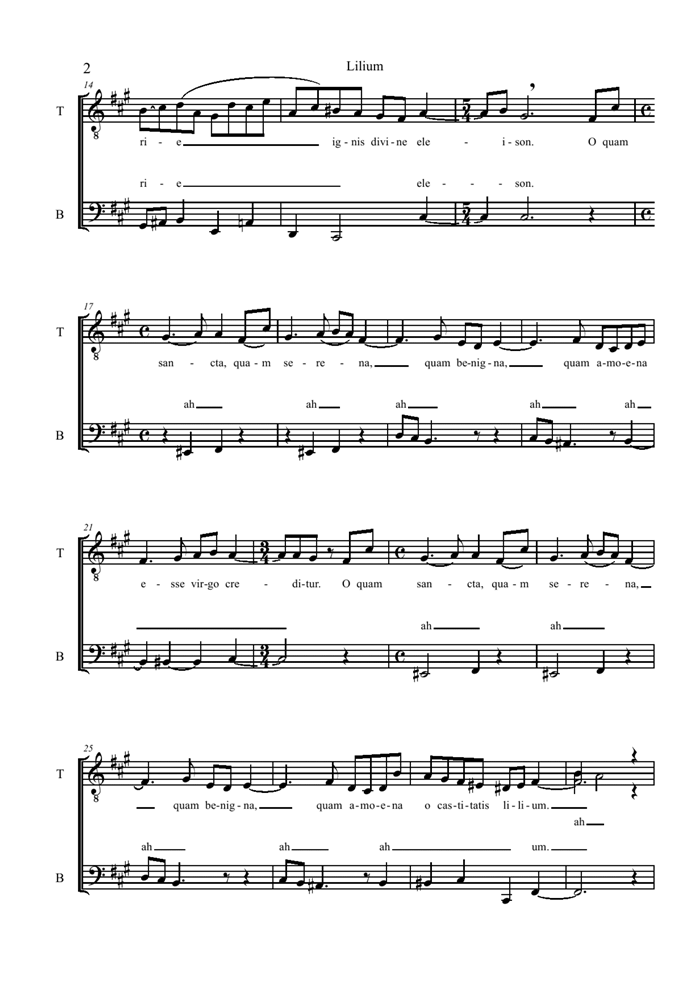 Lilium(sinbios)钢琴曲谱（图2）