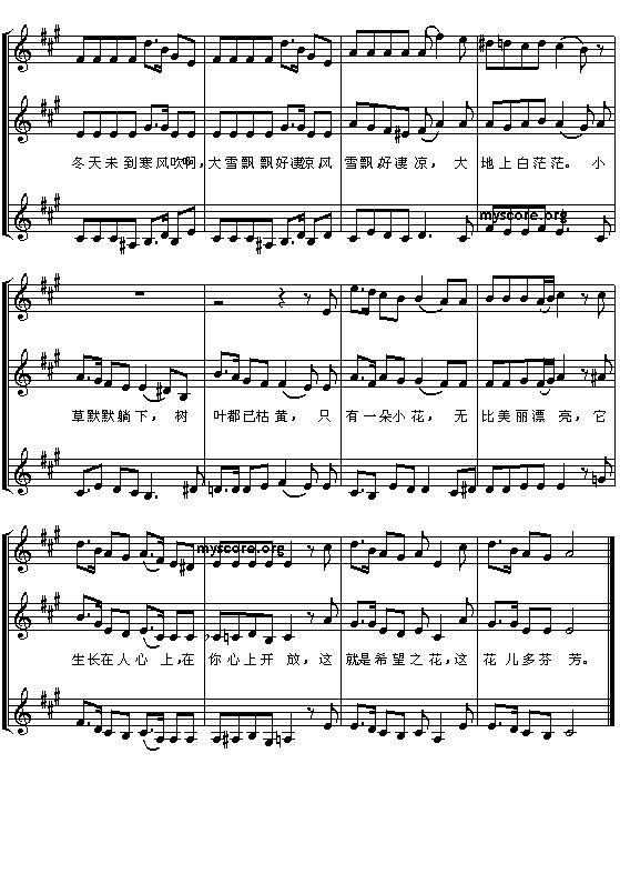 希望之花（五线谱 [德]）钢琴曲谱（图2）