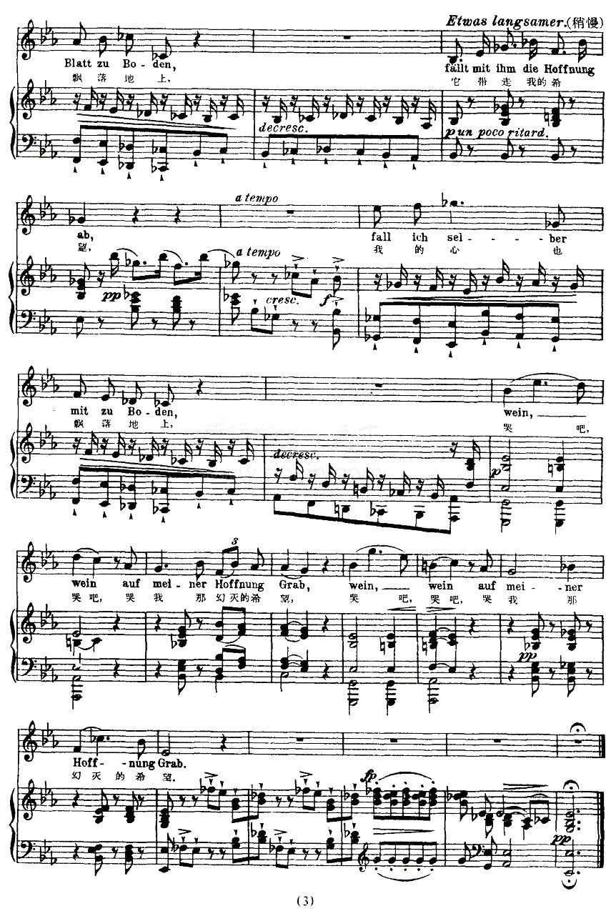 最后的希望（中外文对照版、正谱 [奥]）钢琴曲谱（图3）