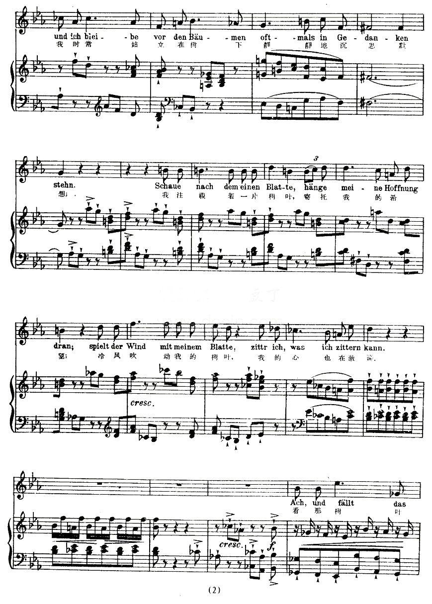 最后的希望（中外文对照版、正谱 [奥]）钢琴曲谱（图2）