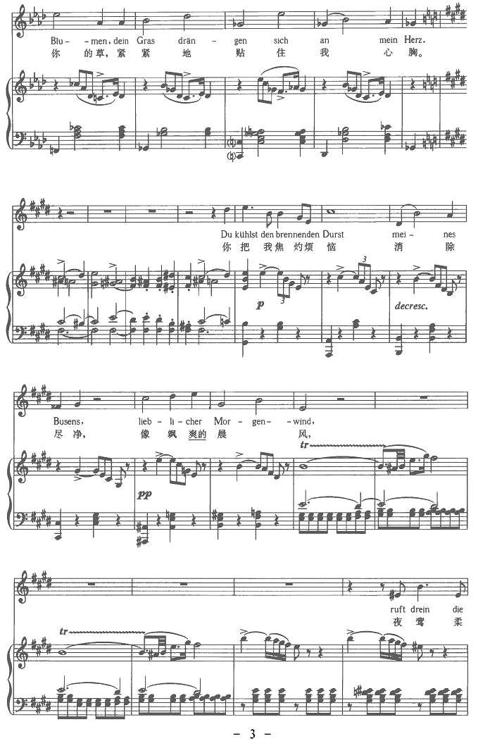 佳尼美德（中外文对照版、正谱 [奥]）钢琴曲谱（图3）