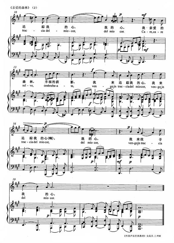 亲爱的森林（线谱）钢琴曲谱（图2）
