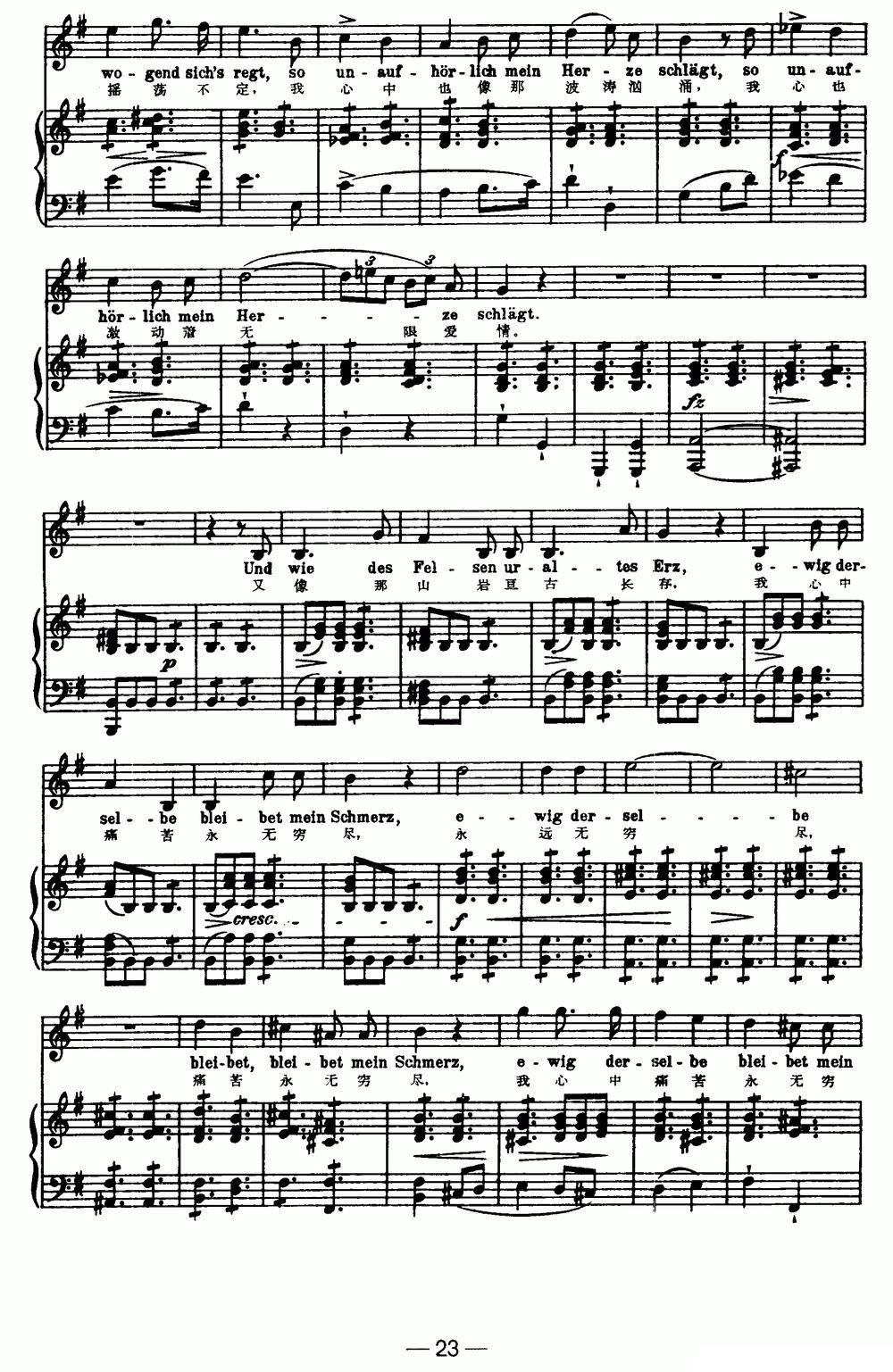 天鹅之歌 5、我的家（中外文对照、正谱）钢琴曲谱（图3）
