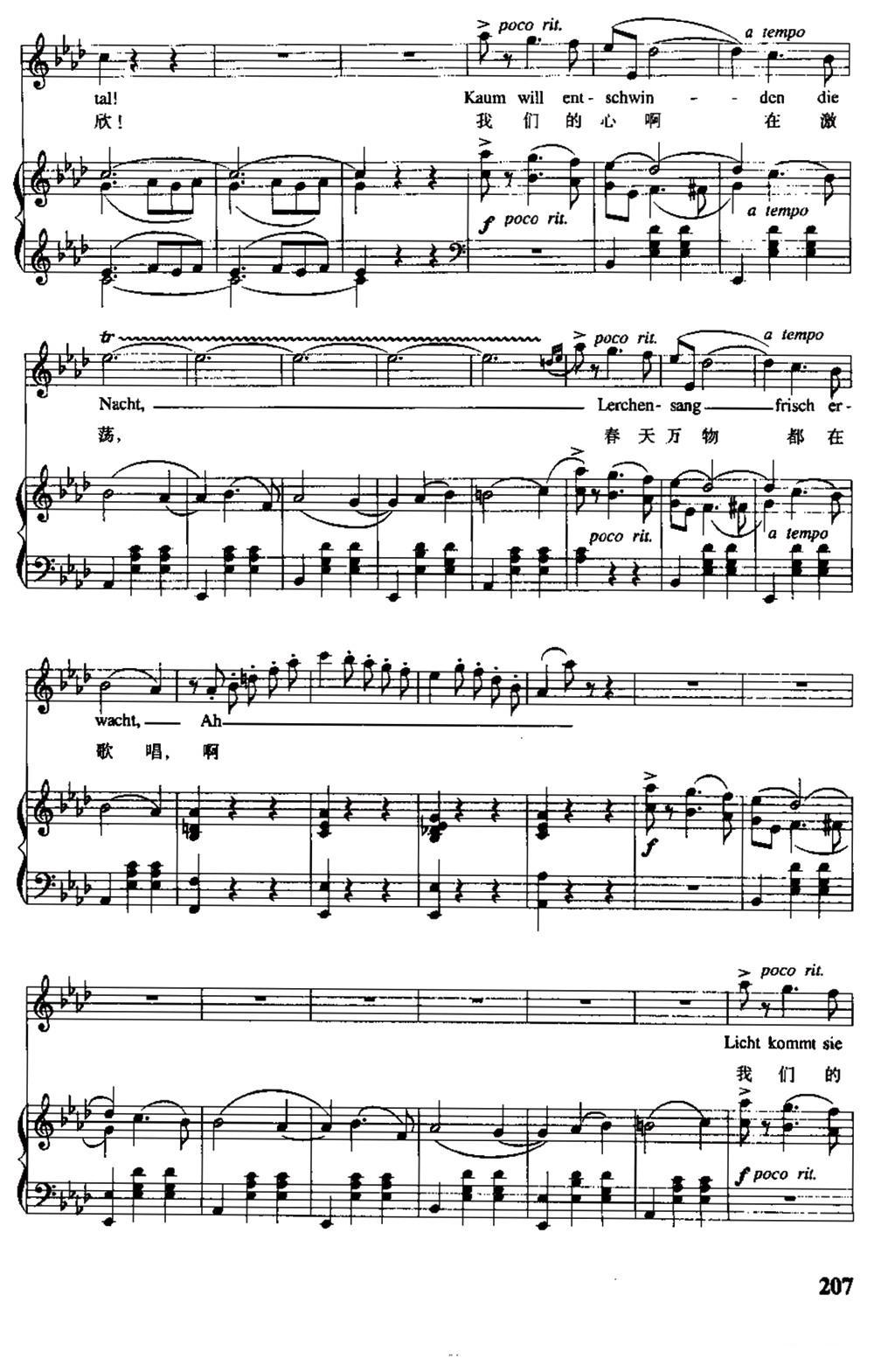 [奥]春之声圆舞曲（中外文对照、正谱）钢琴曲谱（图12）